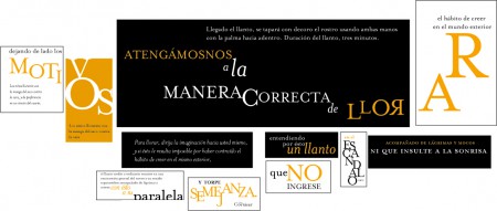 Tipografía Expresiva 2009